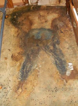Decomp 950x1600px unattended death & decomposition