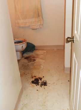 gastro bleed feature image Indiana biohazard remediation